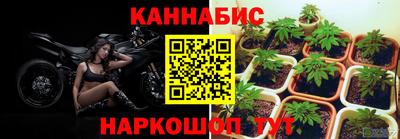 гашик Ипатово