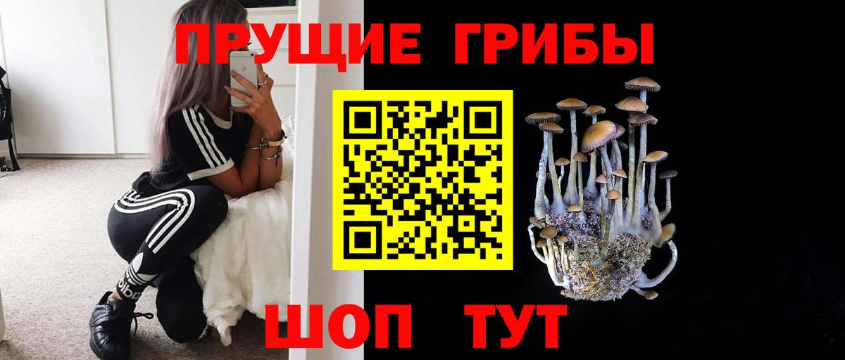 Галлюциногенные грибы Cubensis  Вход с VPN  Лесной 