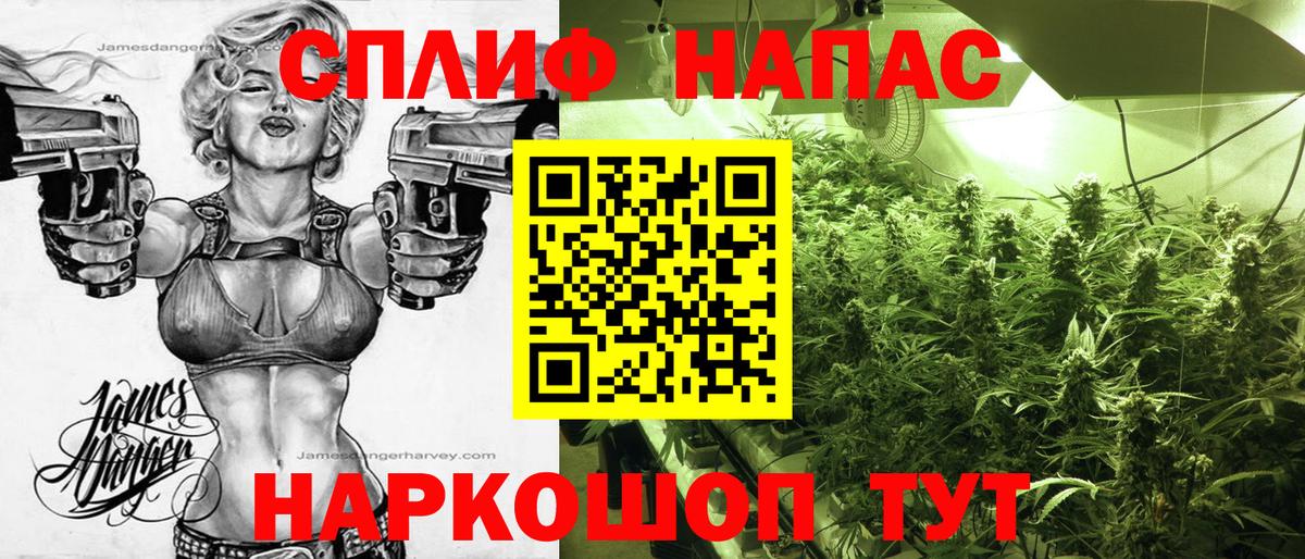 Каннабис план Лесной